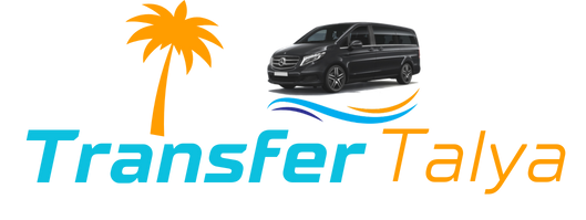 Transfertalya Logo